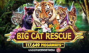 Imagem do jogo Big Cat Rescue Megaways no Supremabet